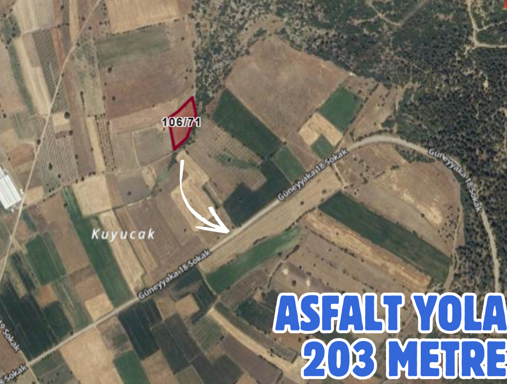 DENİZLİ ÇARDAK SÖĞÜT 3.050 M² TARLAMIZ SATILIKTIR - DENİZLİ ÇARDAK fotoğraf 3